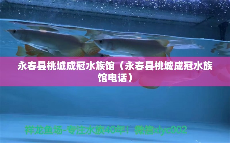 永春縣桃城成冠水族館（永春縣桃城成冠水族館電話） 全國水族館企業(yè)名錄