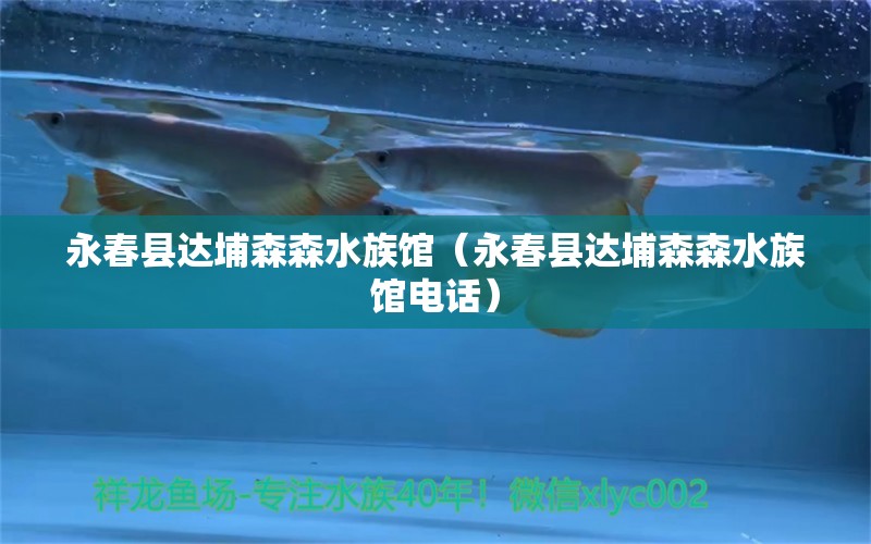 永春縣達埔森森水族館（永春縣達埔森森水族館電話）