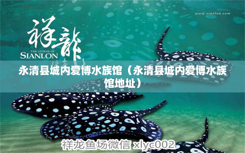 永清縣城內(nèi)愛(ài)博水族館（永清縣城內(nèi)愛(ài)博水族館地址） 全國(guó)水族館企業(yè)名錄