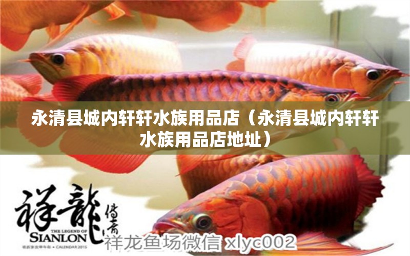 永清縣城內(nèi)軒軒水族用品店（永清縣城內(nèi)軒軒水族用品店地址）