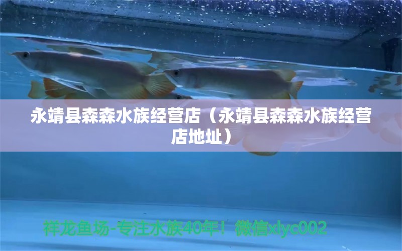 永靖縣森森水族經(jīng)營店（永靖縣森森水族經(jīng)營店地址）