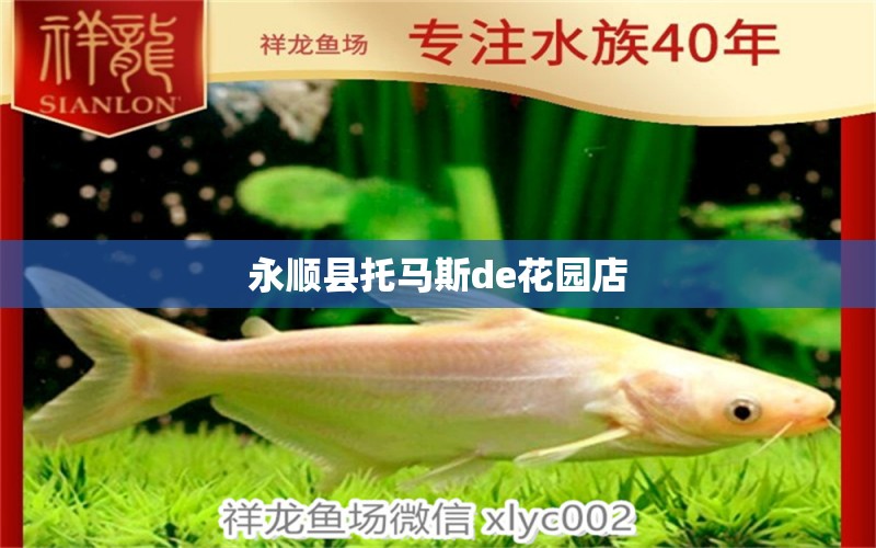 永順縣托馬斯de花園店 全國(guó)水族館企業(yè)名錄