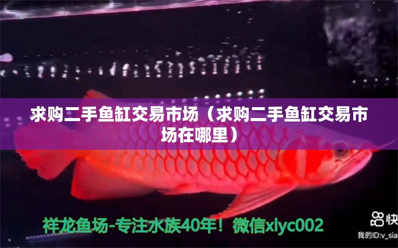 求購二手魚缸交易市場（求購二手魚缸交易市場在哪里）