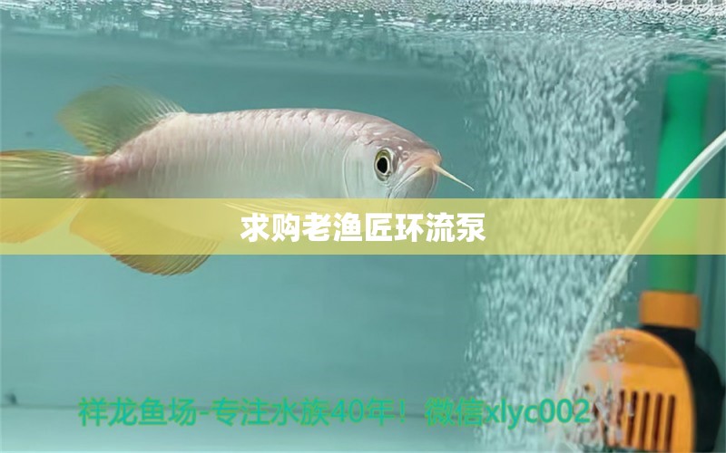 求購(gòu)老漁匠環(huán)流泵