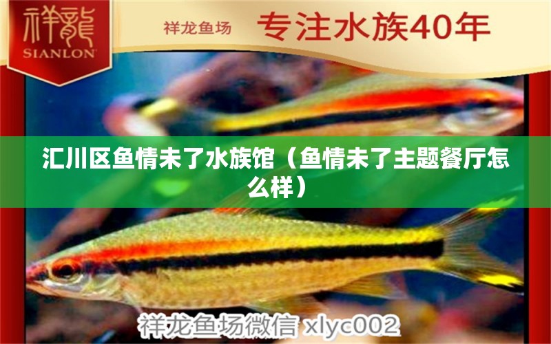 匯川區(qū)魚(yú)情未了水族館（魚(yú)情未了主題餐廳怎么樣）