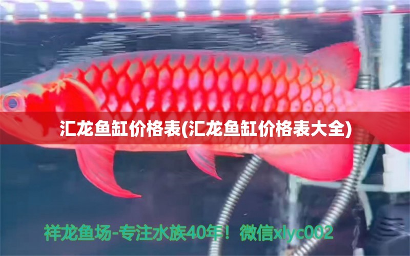 匯龍魚缸價(jià)格表(匯龍魚缸價(jià)格表大全) 祥龍傳奇品牌魚缸