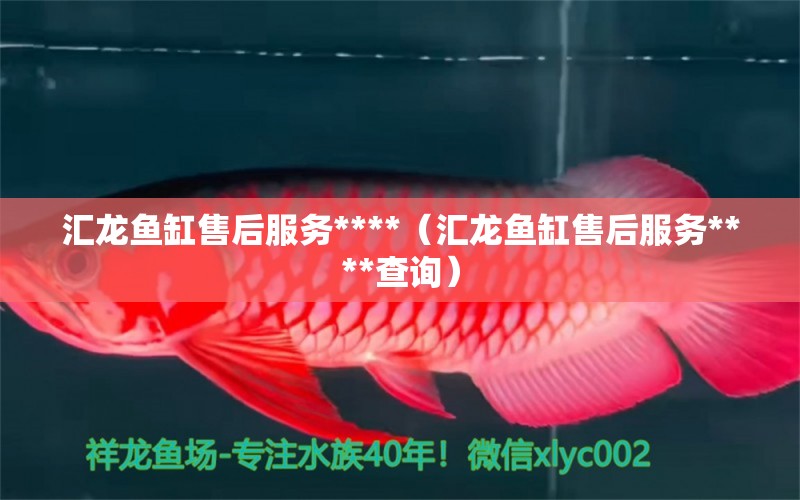 匯龍魚缸售后服務(wù)****（匯龍魚缸售后服務(wù)****查詢） 黃寬帶蝴蝶魚