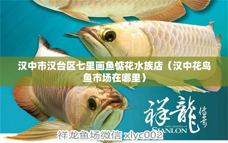 漢中市漢臺區(qū)七里畫魚惦花水族店（漢中花鳥魚市場在哪里）