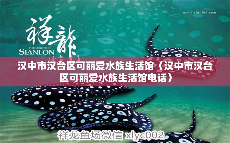 漢中市漢臺區(qū)可麗愛水族生活館（漢中市漢臺區(qū)可麗愛水族生活館電話）