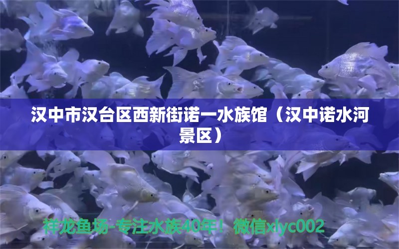 漢中市漢臺區(qū)西新街諾一水族館（漢中諾水河景區(qū)）