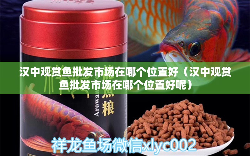 漢中觀賞魚批發(fā)市場在哪個位置好（漢中觀賞魚批發(fā)市場在哪個位置好呢）