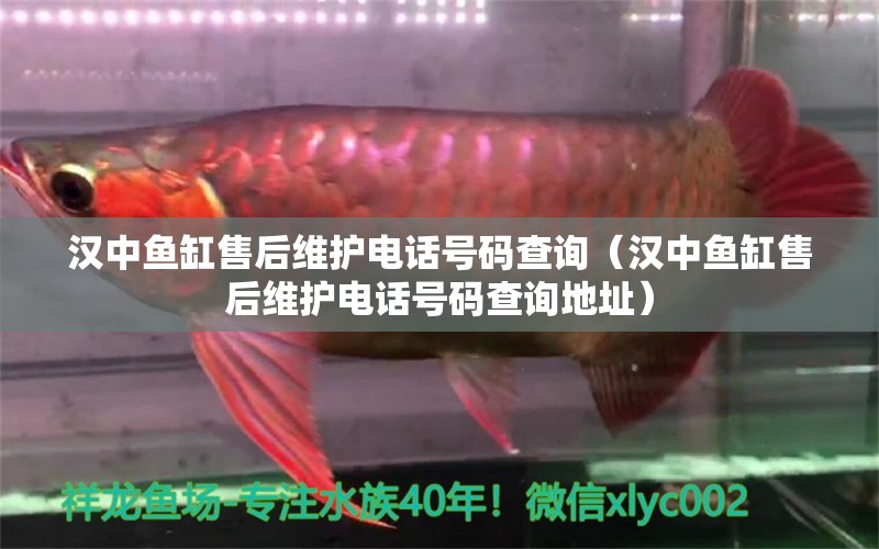 漢中魚缸售后維護(hù)電話號碼查詢（漢中魚缸售后維護(hù)電話號碼查詢地址） 其他品牌魚缸