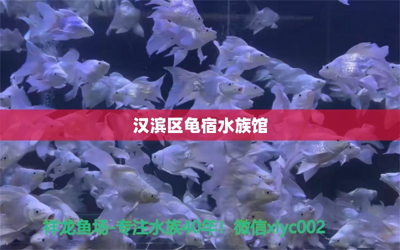 漢濱區(qū)龜宿水族館