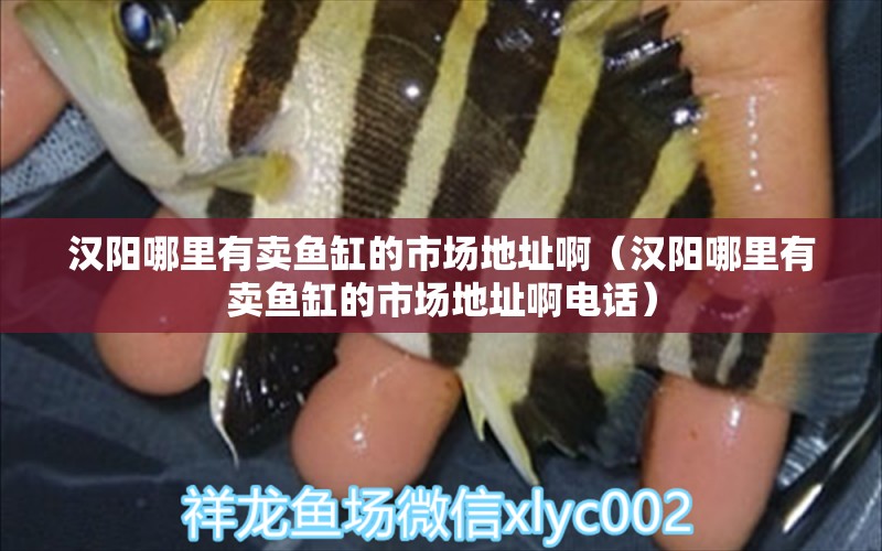 漢陽(yáng)哪里有賣魚缸的市場(chǎng)地址?。h陽(yáng)哪里有賣魚缸的市場(chǎng)地址啊電話） 殺菌消毒設(shè)備