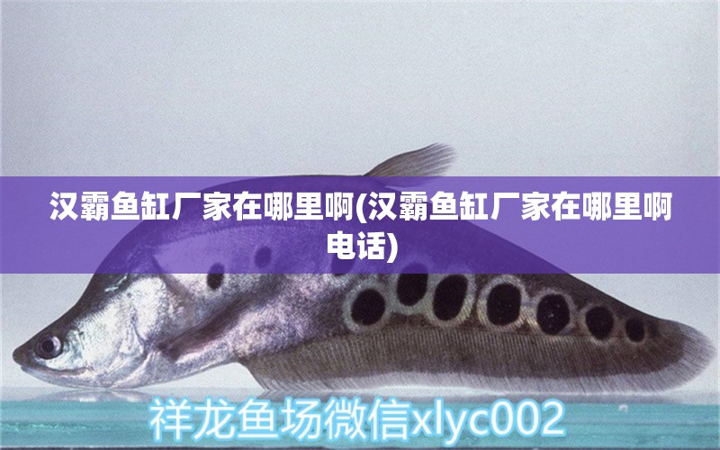 漢霸魚(yú)缸廠家在哪里啊(漢霸魚(yú)缸廠家在哪里啊電話)