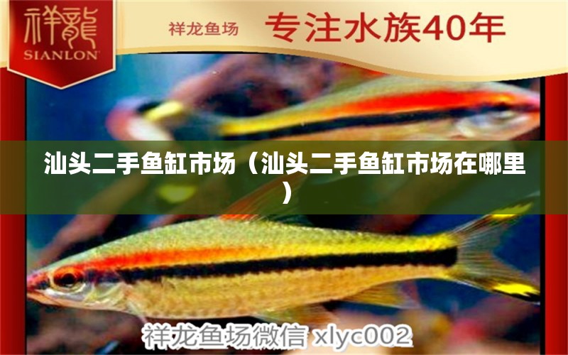 汕頭二手魚缸市場（汕頭二手魚缸市場在哪里）