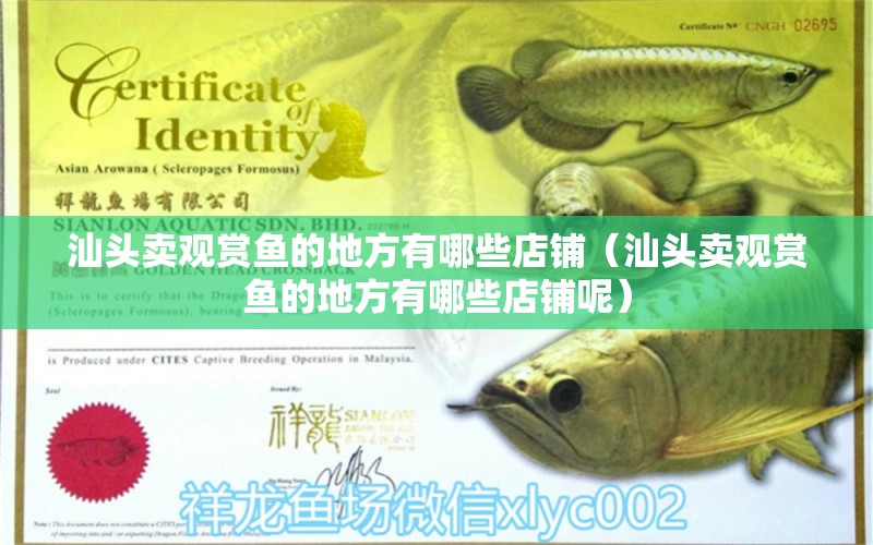 汕頭賣觀賞魚的地方有哪些店鋪（汕頭賣觀賞魚的地方有哪些店鋪呢）