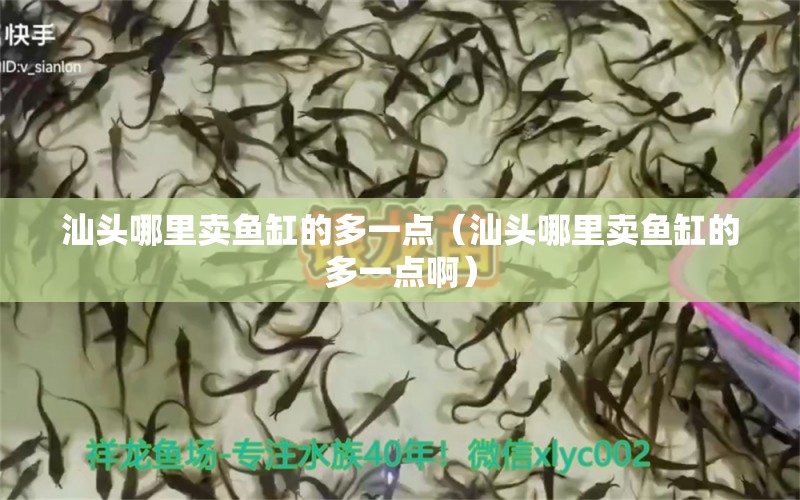 汕頭哪里賣魚缸的多一點（汕頭哪里賣魚缸的多一點?。? title=