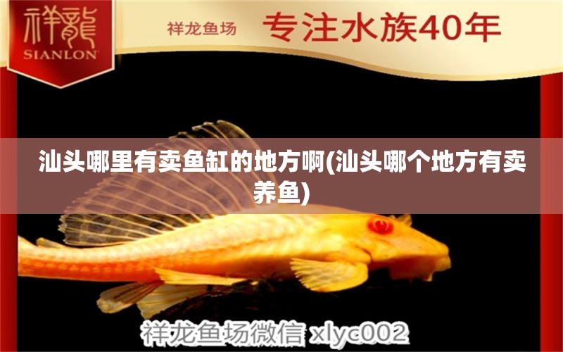 汕頭哪里有賣魚缸的地方啊(汕頭哪個地方有賣養(yǎng)魚)