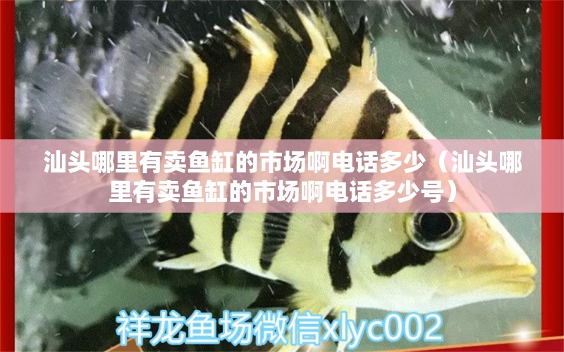 汕頭哪里有賣魚缸的市場啊電話多少（汕頭哪里有賣魚缸的市場啊電話多少號）