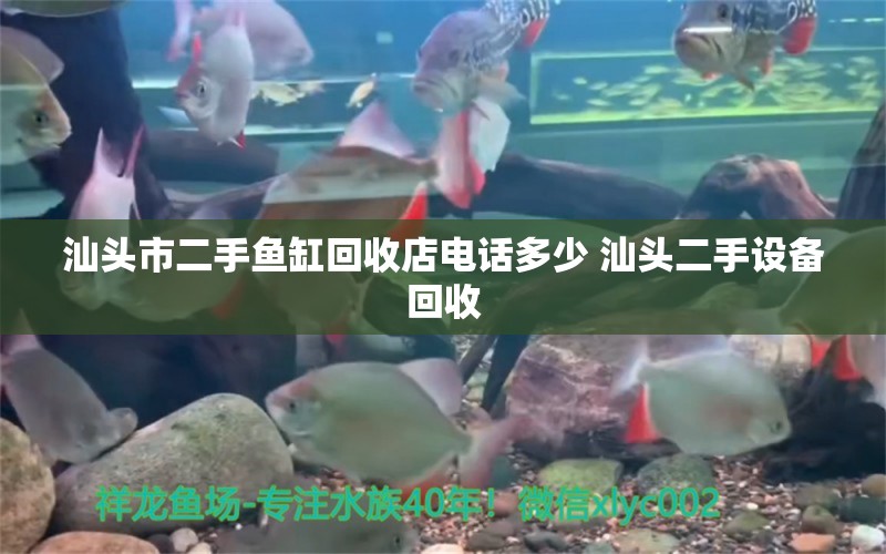 汕頭市二手魚缸回收店電話多少 汕頭二手設(shè)備回收 水族品牌 第1張