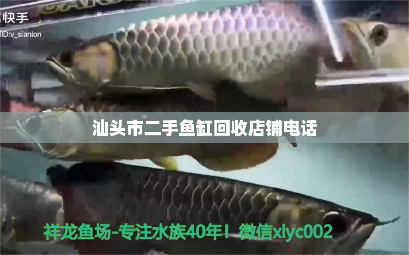 汕頭市二手魚缸回收店鋪電話 養(yǎng)魚知識(shí)