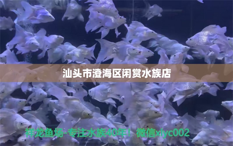 汕頭市澄海區(qū)閑賞水族店 全國水族館企業(yè)名錄 第2張