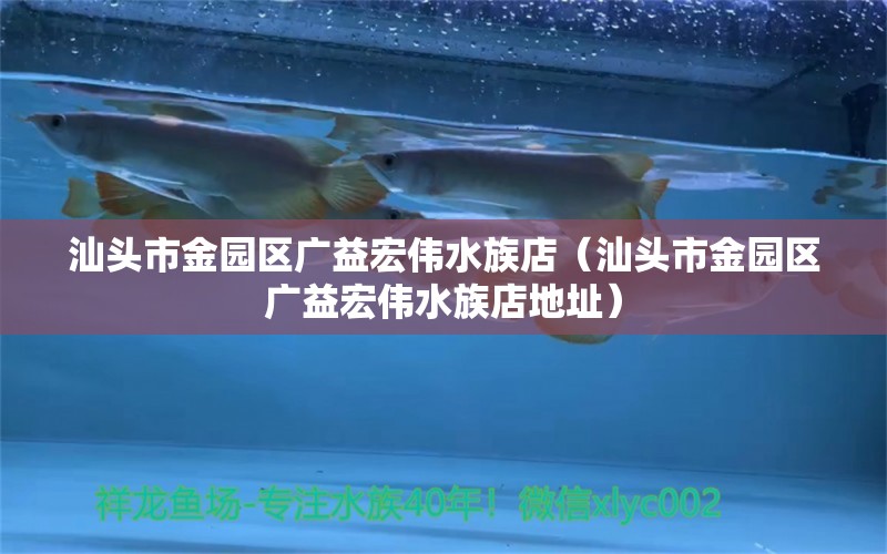 汕頭市金園區(qū)廣益宏偉水族店（汕頭市金園區(qū)廣益宏偉水族店地址） 全國(guó)水族館企業(yè)名錄