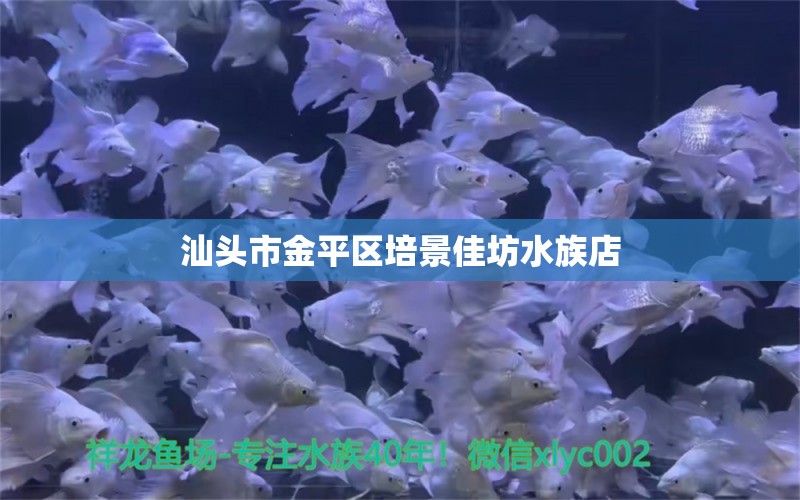 汕頭市金平區(qū)培景佳坊水族店 全國(guó)水族館企業(yè)名錄