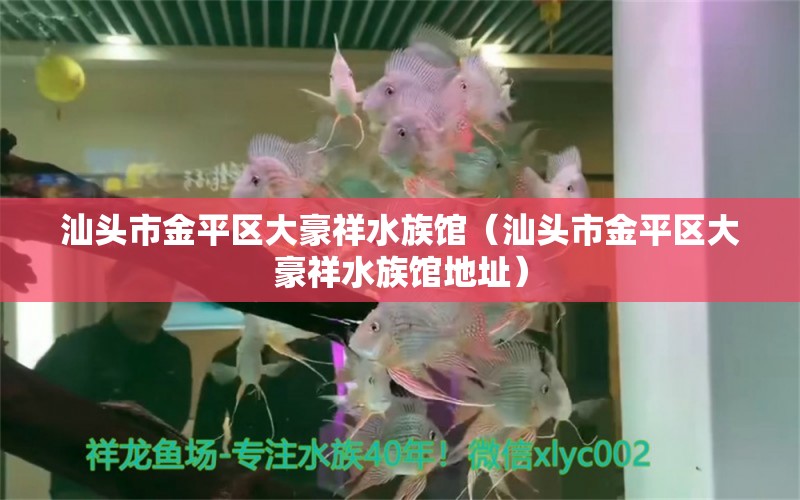 汕頭市金平區(qū)大豪祥水族館（汕頭市金平區(qū)大豪祥水族館地址）