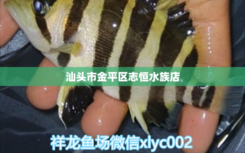 汕頭市金平區(qū)志恒水族店 全國水族館企業(yè)名錄