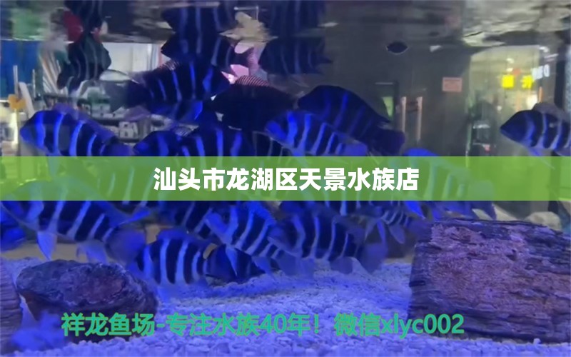 汕頭市龍湖區(qū)天景水族店 全國(guó)水族館企業(yè)名錄