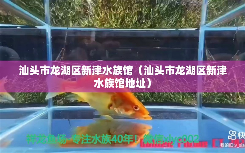 汕頭市龍湖區(qū)新津水族館（汕頭市龍湖區(qū)新津水族館地址）