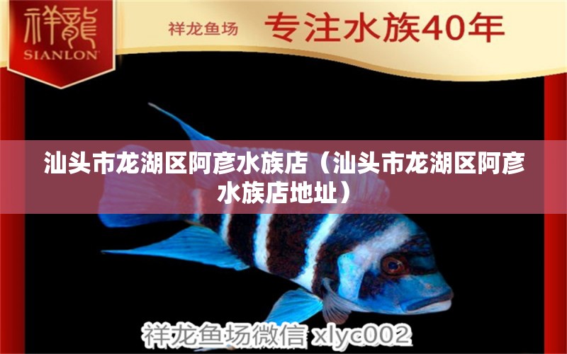 汕頭市龍湖區(qū)阿彥水族店（汕頭市龍湖區(qū)阿彥水族店地址） 全國水族館企業(yè)名錄