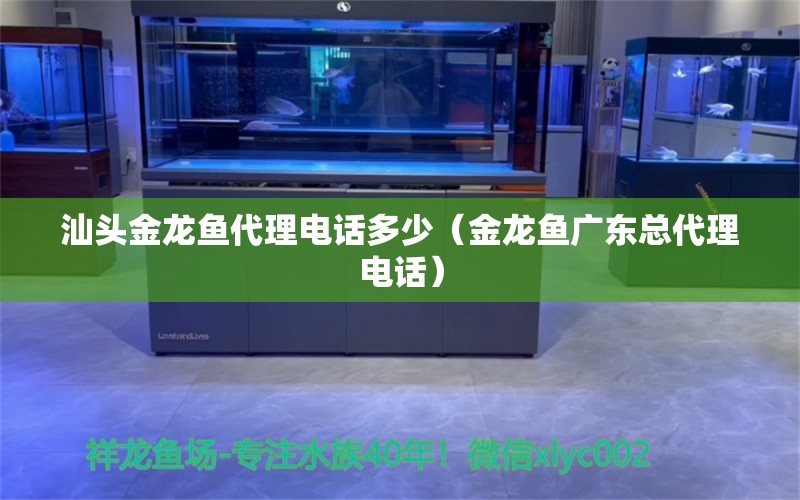 汕頭金龍魚代理電話多少（金龍魚廣東總代理電話）