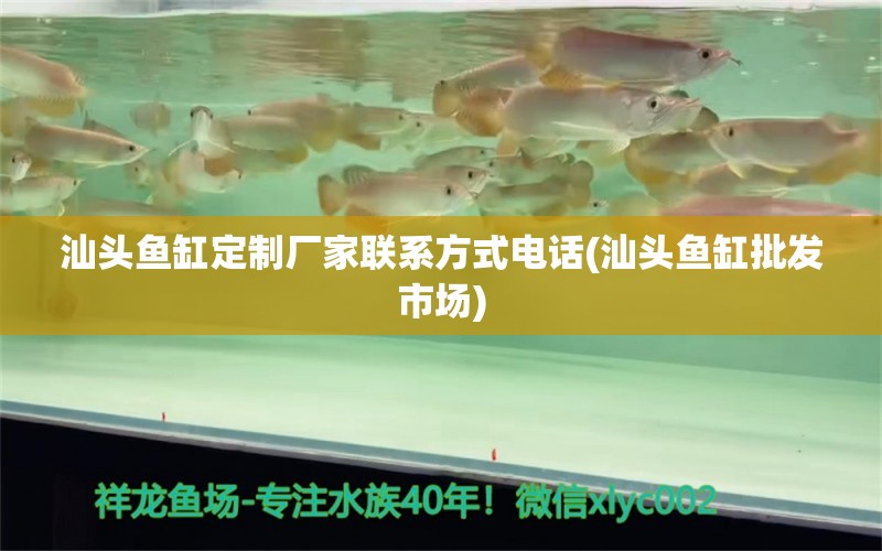 汕頭魚(yú)缸定制廠家聯(lián)系方式電話(汕頭魚(yú)缸批發(fā)市場(chǎng)) 紅頭利魚(yú)