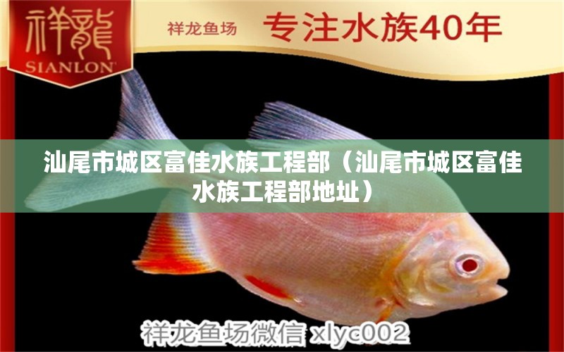 汕尾市城區(qū)富佳水族工程部（汕尾市城區(qū)富佳水族工程部地址）