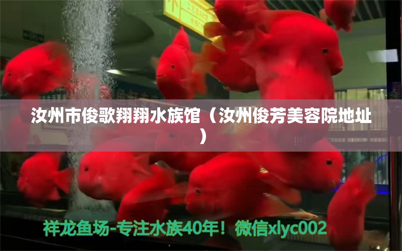 汝州市俊歌翔翔水族館（汝州俊芳美容院地址）