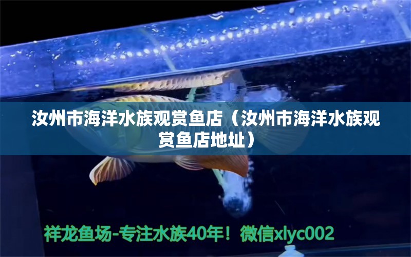 汝州市海洋水族觀賞魚店（汝州市海洋水族觀賞魚店地址） 全國水族館企業(yè)名錄