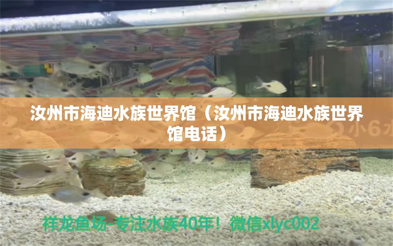 汝州市海迪水族世界館（汝州市海迪水族世界館電話）