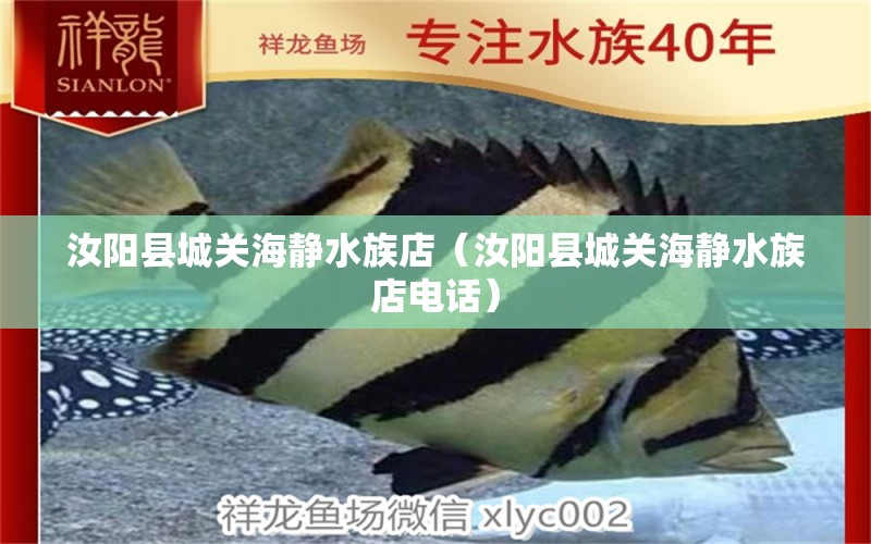 汝陽(yáng)縣城關(guān)海靜水族店（汝陽(yáng)縣城關(guān)海靜水族店電話） 全國(guó)水族館企業(yè)名錄