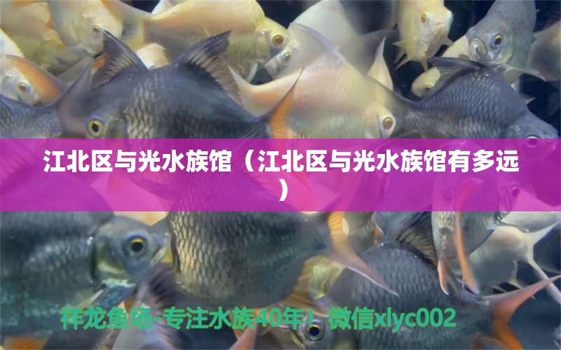 江北區(qū)與光水族館（江北區(qū)與光水族館有多遠）