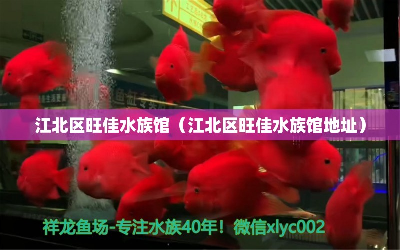 江北區(qū)旺佳水族館（江北區(qū)旺佳水族館地址）