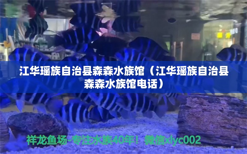 江華瑤族自治縣森森水族館（江華瑤族自治縣森森水族館電話） 全國水族館企業(yè)名錄