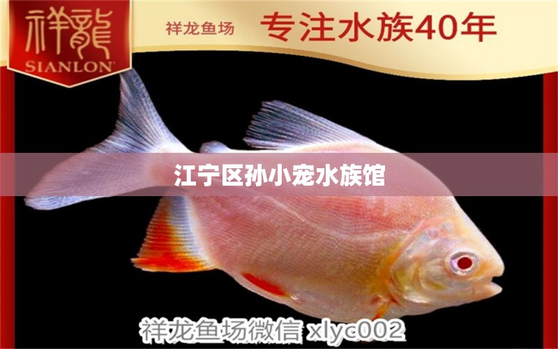 江寧區(qū)孫小寵水族館