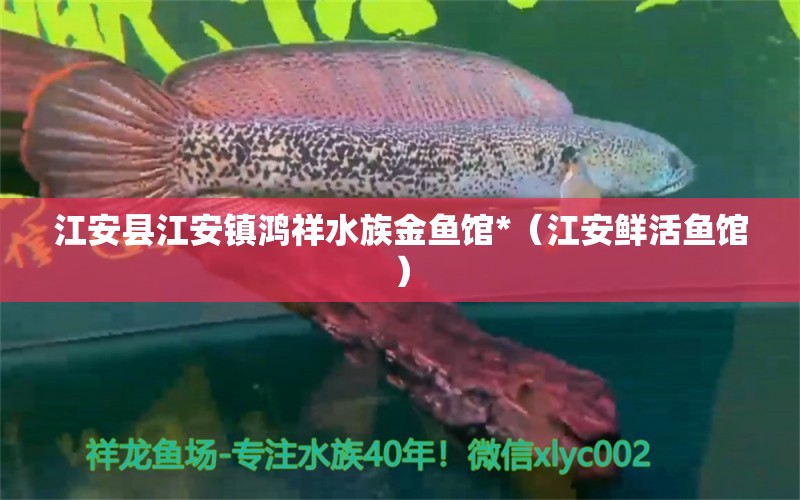 江安縣江安鎮(zhèn)鴻祥水族金魚館*（江安鮮活魚館） 全國水族館企業(yè)名錄