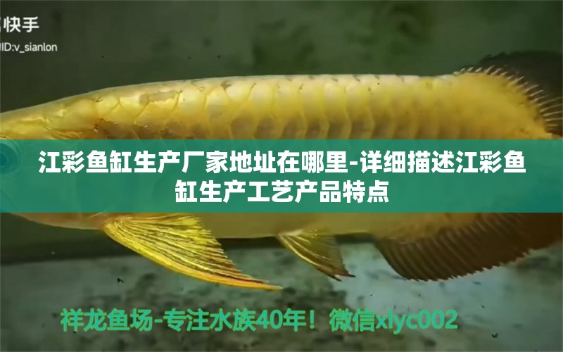 江彩魚缸生產(chǎn)廠家地址在哪里-詳細(xì)描述江彩魚缸生產(chǎn)工藝產(chǎn)品特點