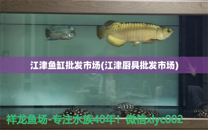 江津魚缸批發(fā)市場(江津廚具批發(fā)市場) 七彩神仙魚 第1張