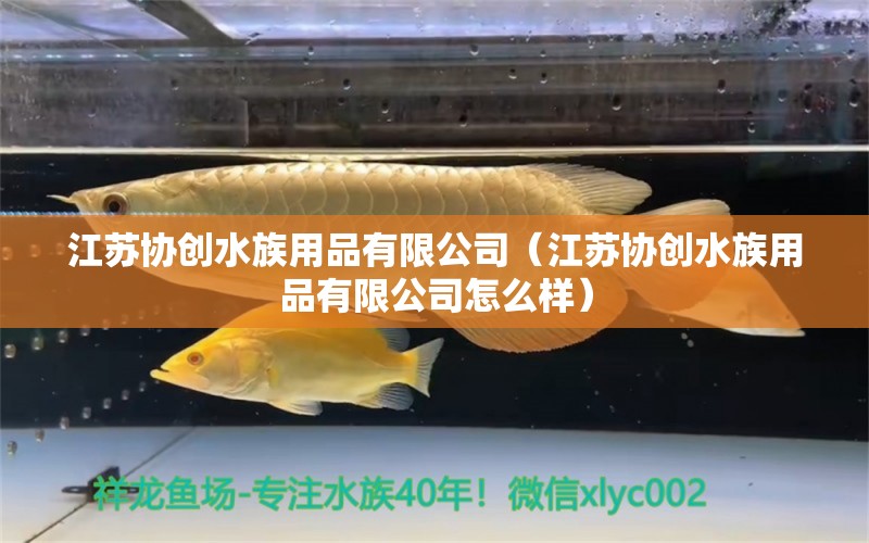 江蘇協(xié)創(chuàng)水族用品有限公司（江蘇協(xié)創(chuàng)水族用品有限公司怎么樣）