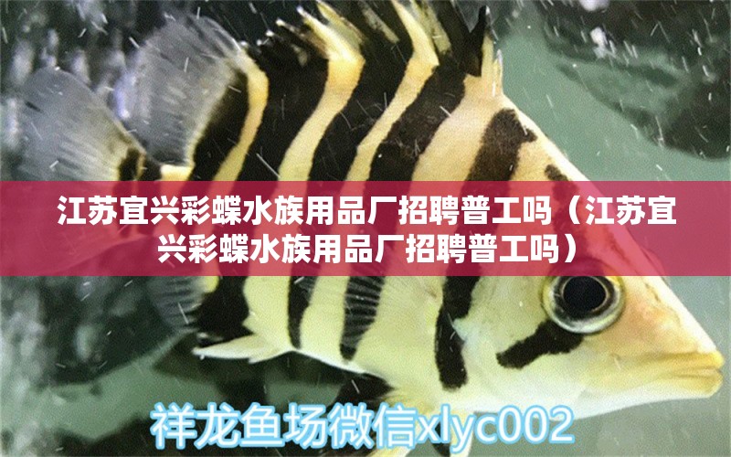 江蘇宜興彩蝶水族用品廠招聘普工嗎（江蘇宜興彩蝶水族用品廠招聘普工嗎） 水族用品